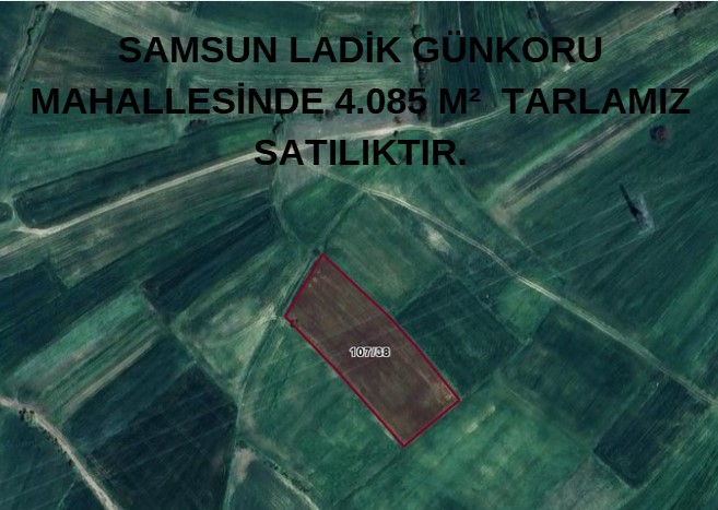 SAMSUN LADİK GÜNKORU MAH 4.085 M²  TARLAMIZ SATILIKTIR. - SAMSUN LADİK fotoğraf 7